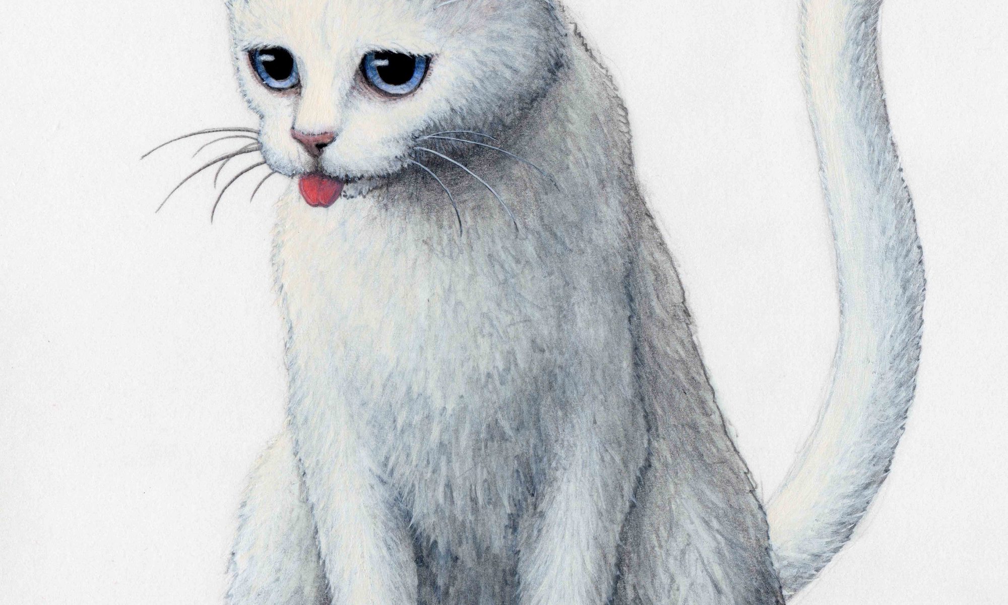 白猫　絵画　イラスト　ドローイングインテリア